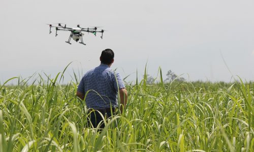 dron-agricultura-hoy